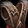 Insolent Dark Iron's Vest Icon